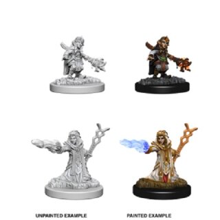 Female Gnome Wizard: Nolzurs Marvelous Unpainted Minis