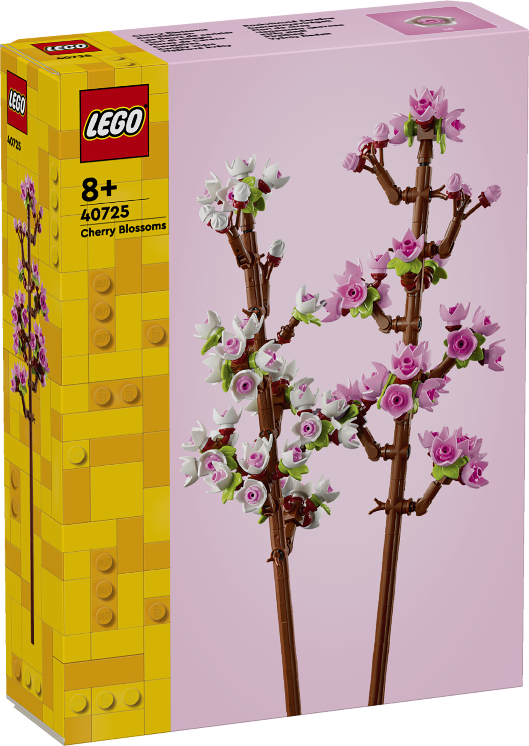 Kirschblüten 40725