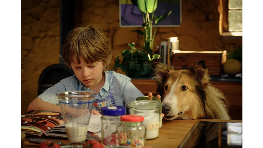Lassie - Ein neues Abenteuer