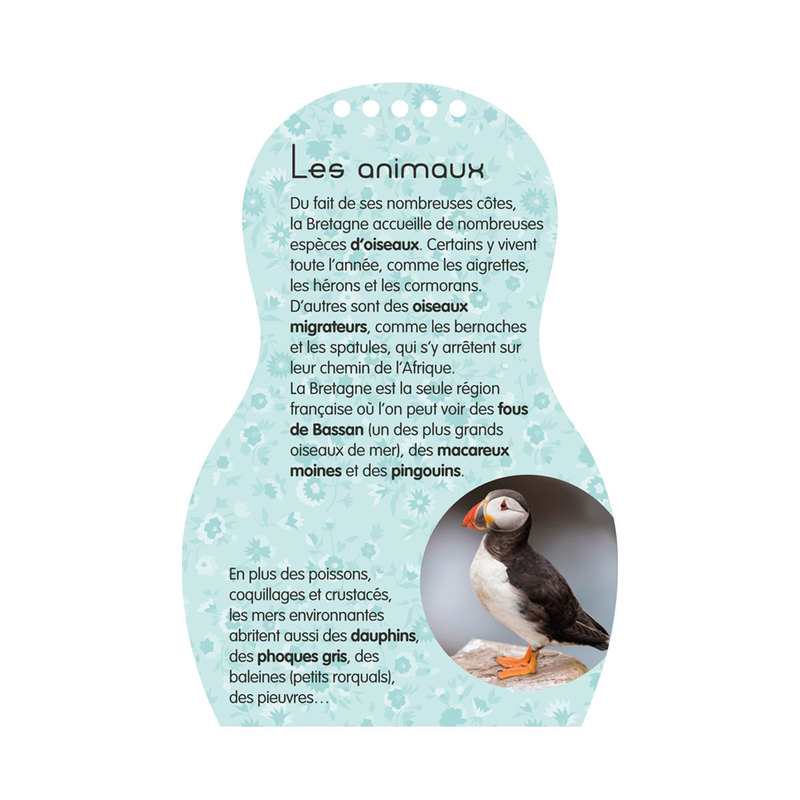 Carnet créatif Minimiki, Maelle en Bretagne - Play Bac