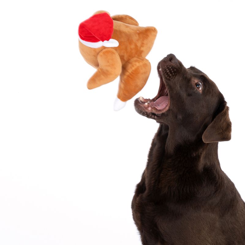 TIAKI Hundespielzeug Weihnachts-Truthahn zu TOP-Preisen | bitiba