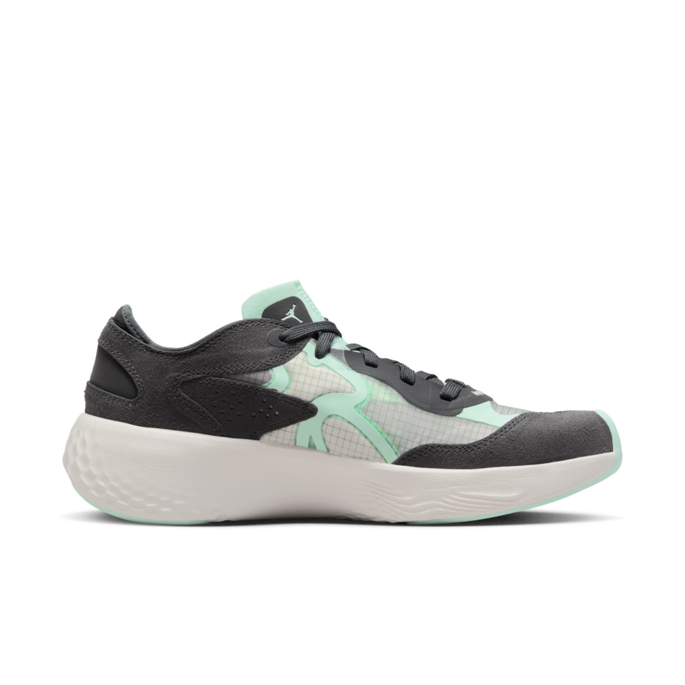 NIKE JORDAN Delta 3 Low WMNS DM3384-003 / grau