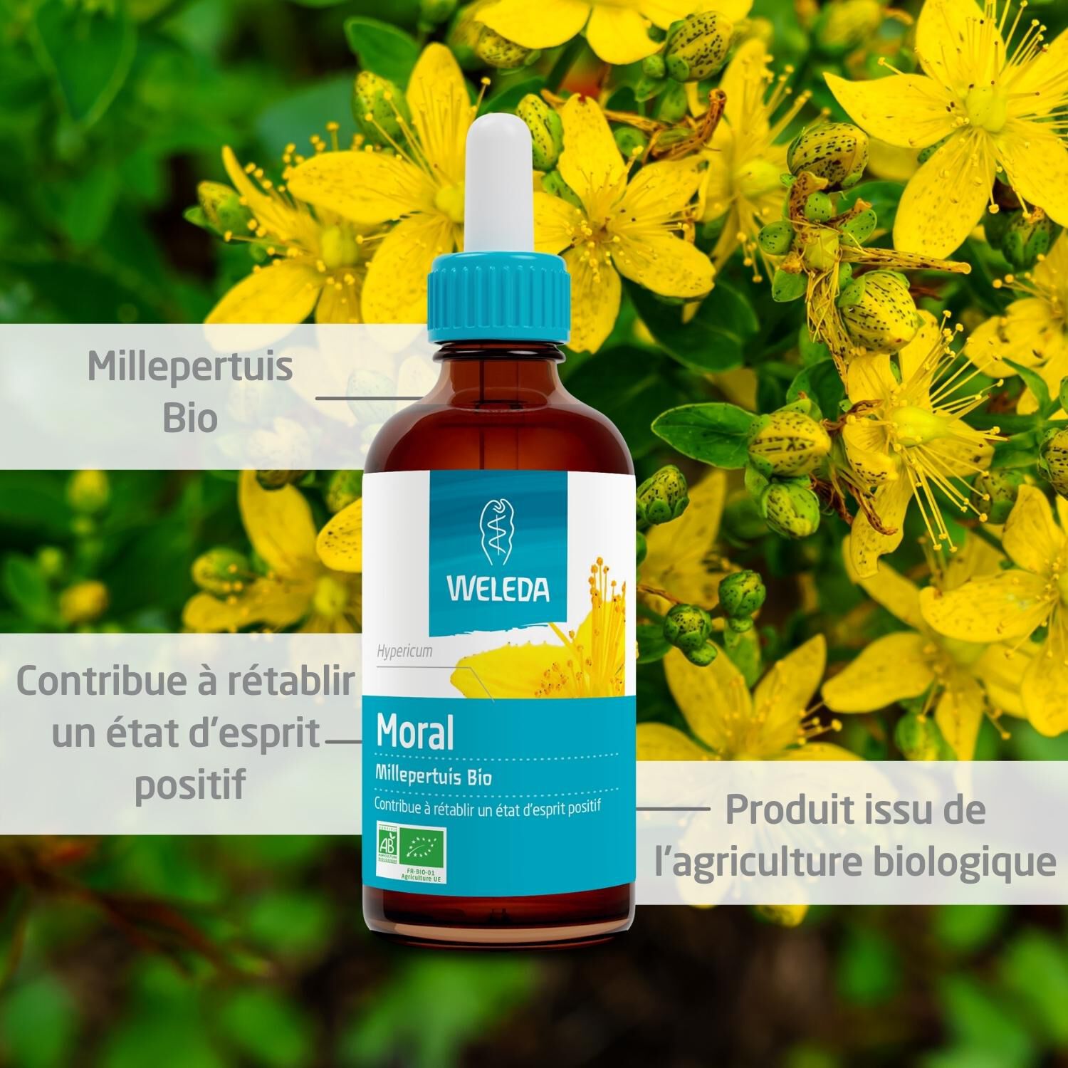 Weleda EPB® Millepertuis Bio Moral - Complément Alimentaire Naturel - 60 ml