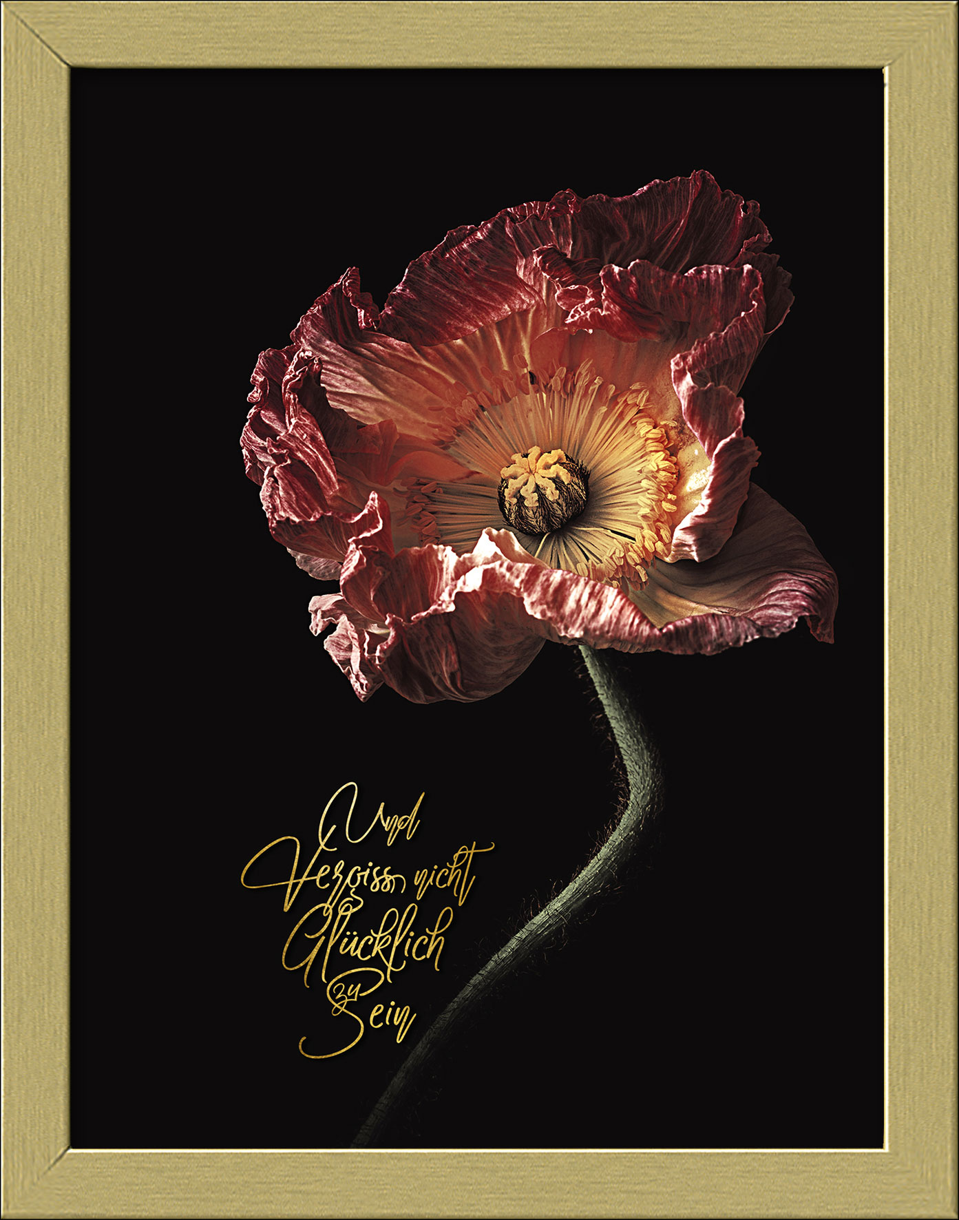 Pro ArtKunstdruck gerahmt 19x24cm