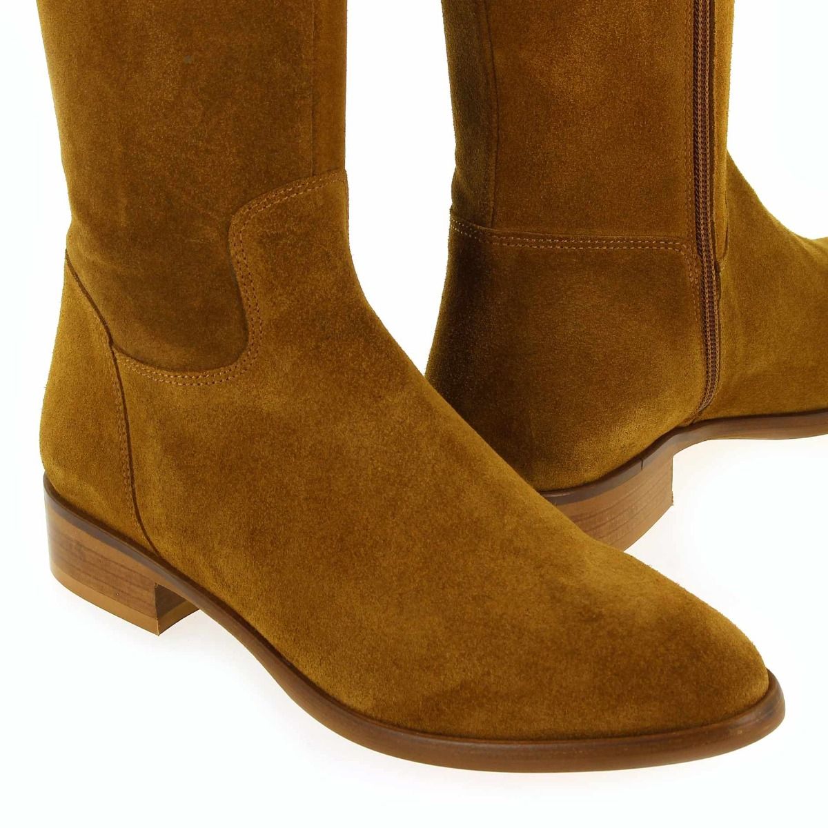 Janie Philip  DANAIDES - Camel