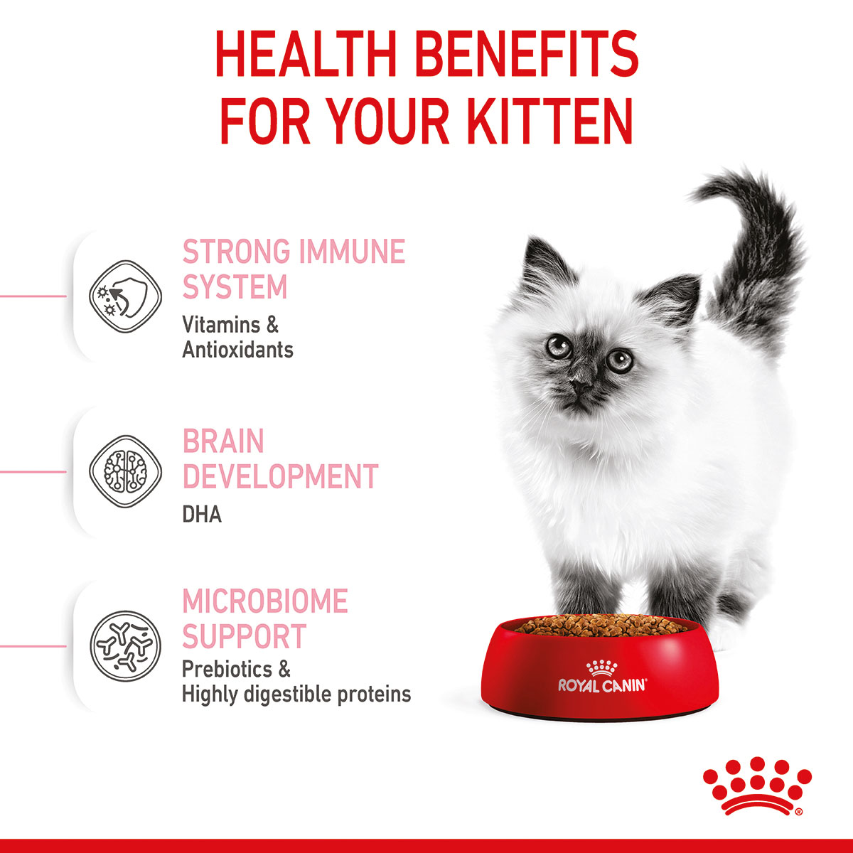 ROYAL CANIN KITTEN Trockenfutter für Kätzchen kaufen