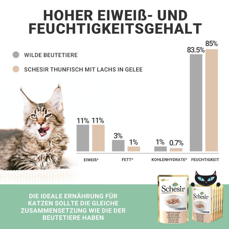 Sparpaket Schesir Jelly Pouch 24 x 85 g zu TOP-Preisen | bitiba %