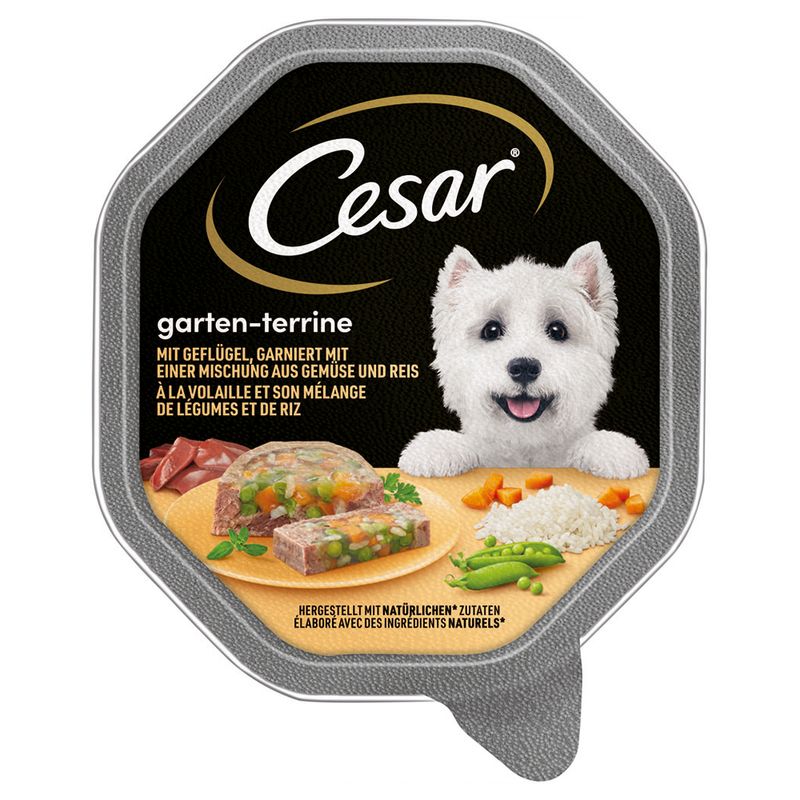 Cesar Schale 14 x 150 g