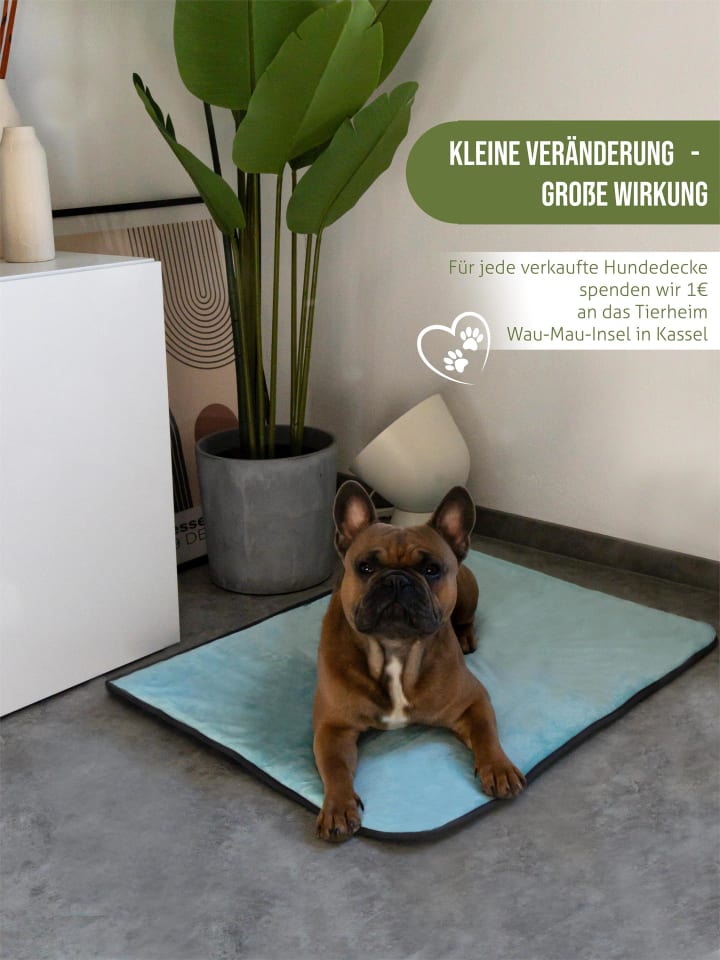 Aspero Hundedecke Lund in Blau günstig kaufen