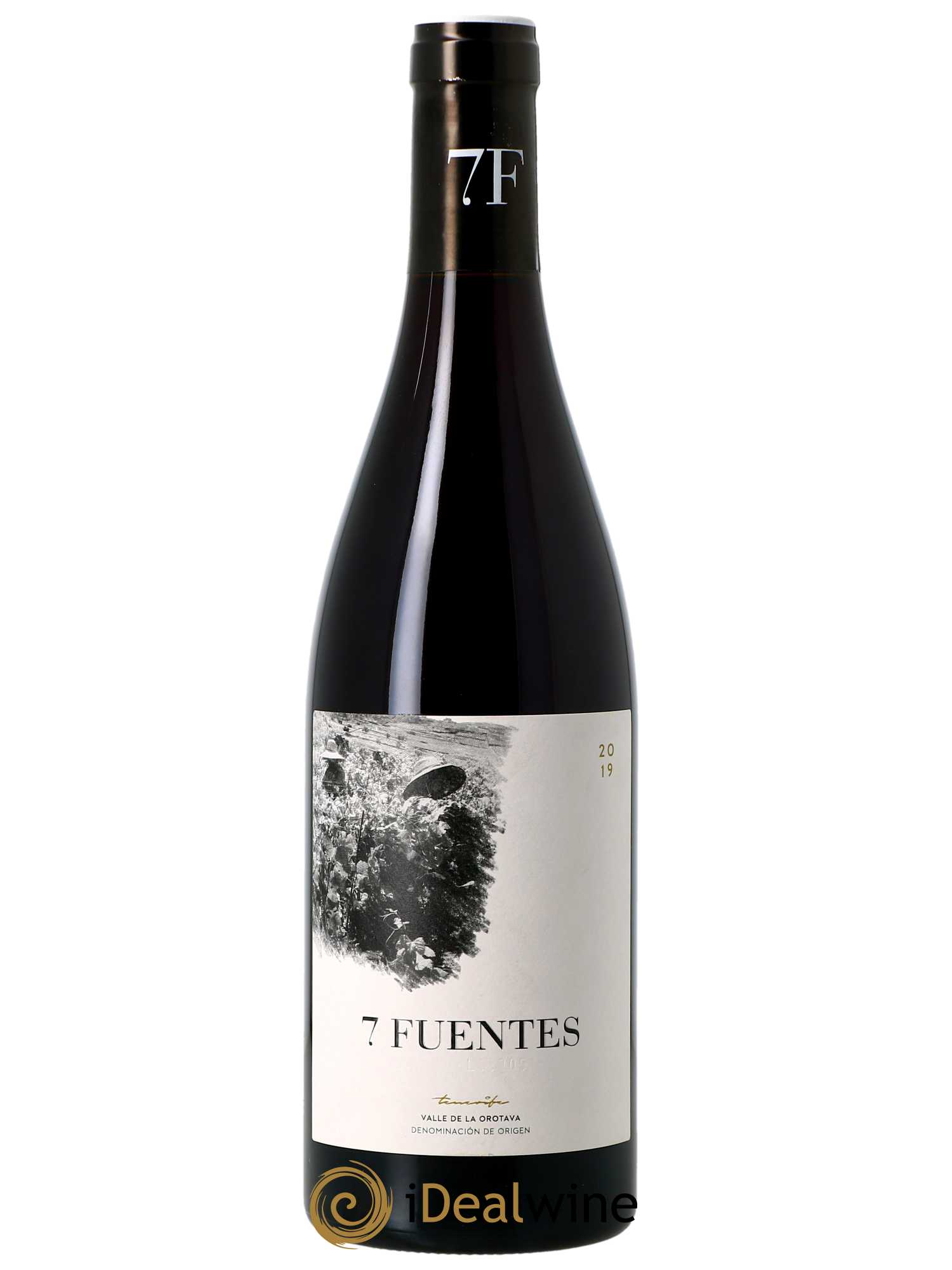 Valle de la Orotava Suertes del Marqués 7 Fuentes  2019 - Lot de 1 Bouteille