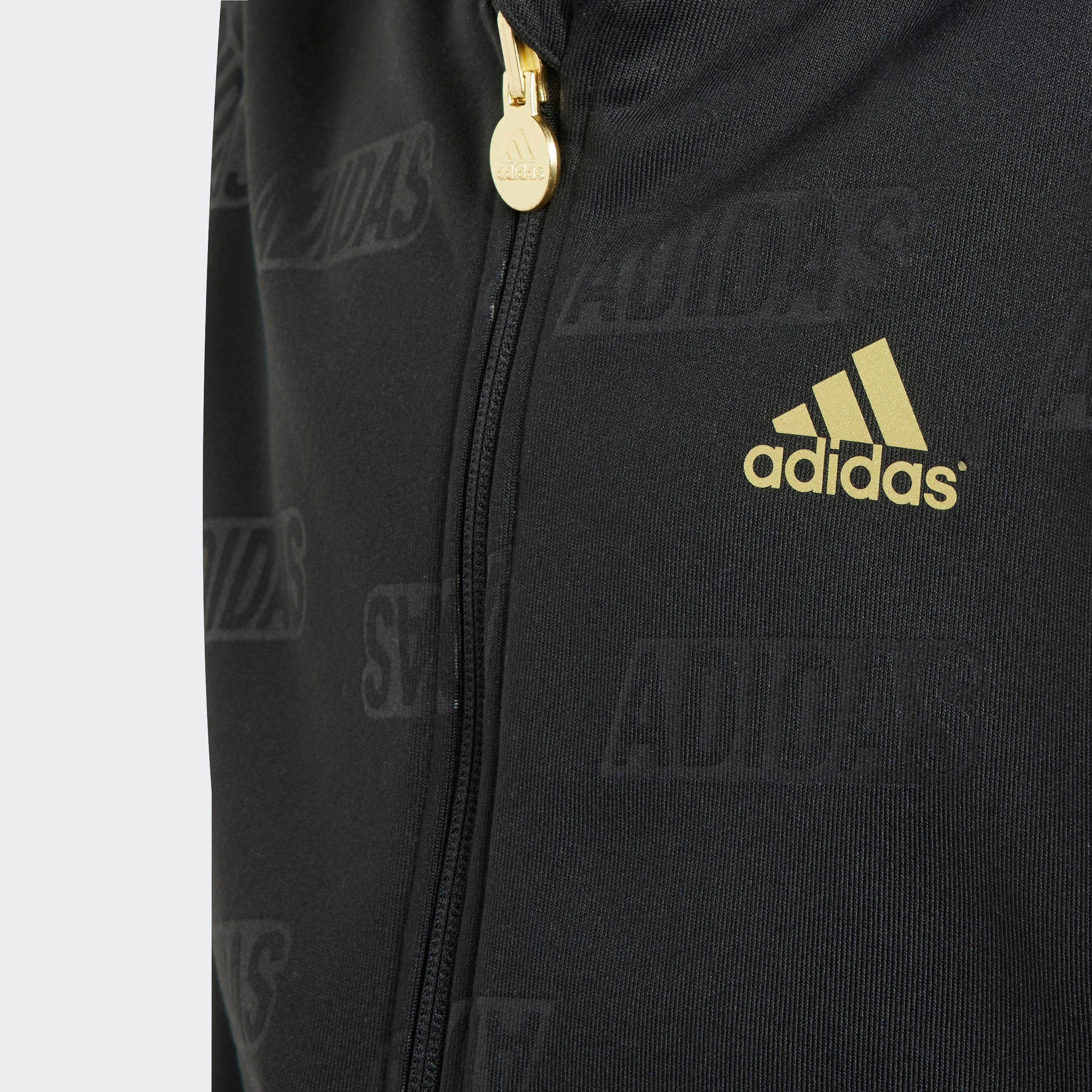 adidas Sportswear Sweatshirt B BLUV Q4 FZ HD