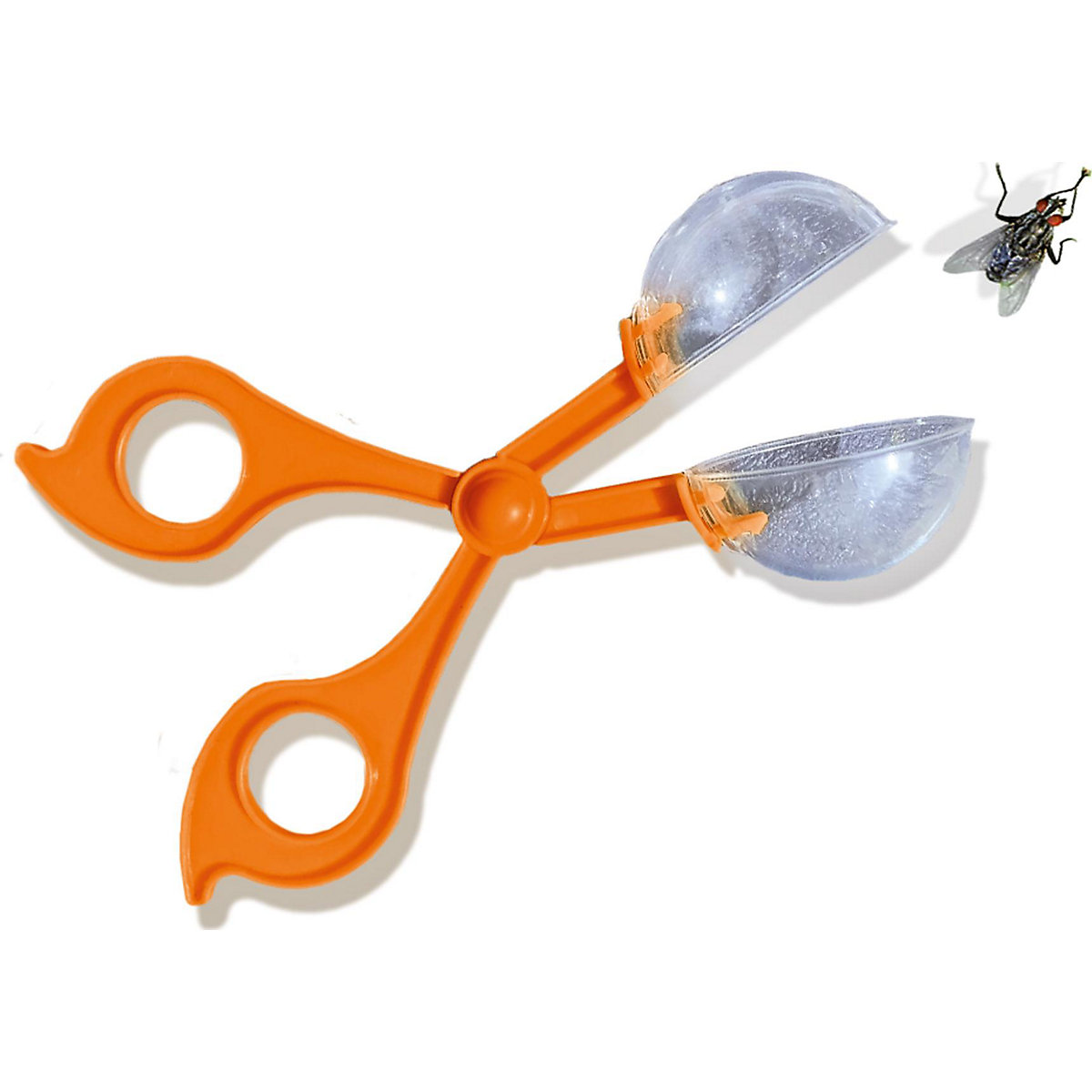 Insektenforscher