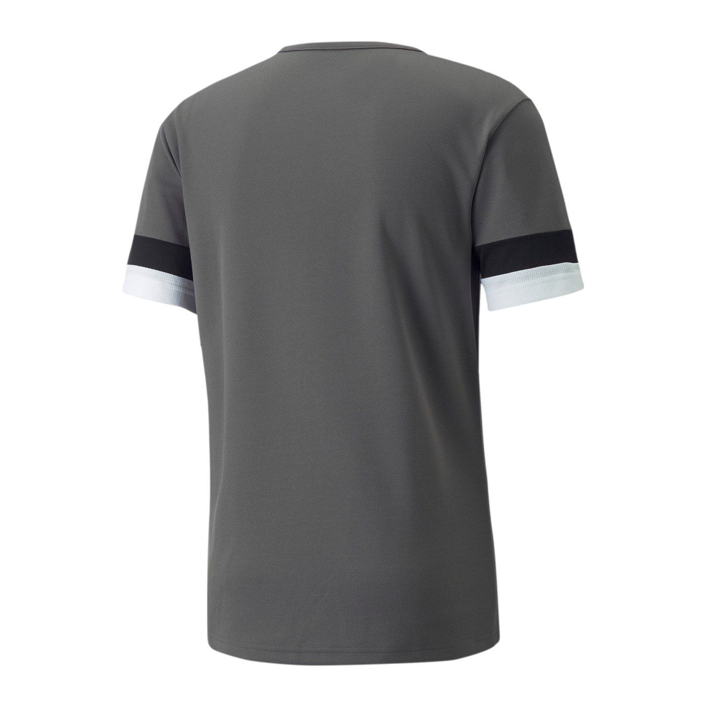 PUMA teamRISE Trikot Grau F13
