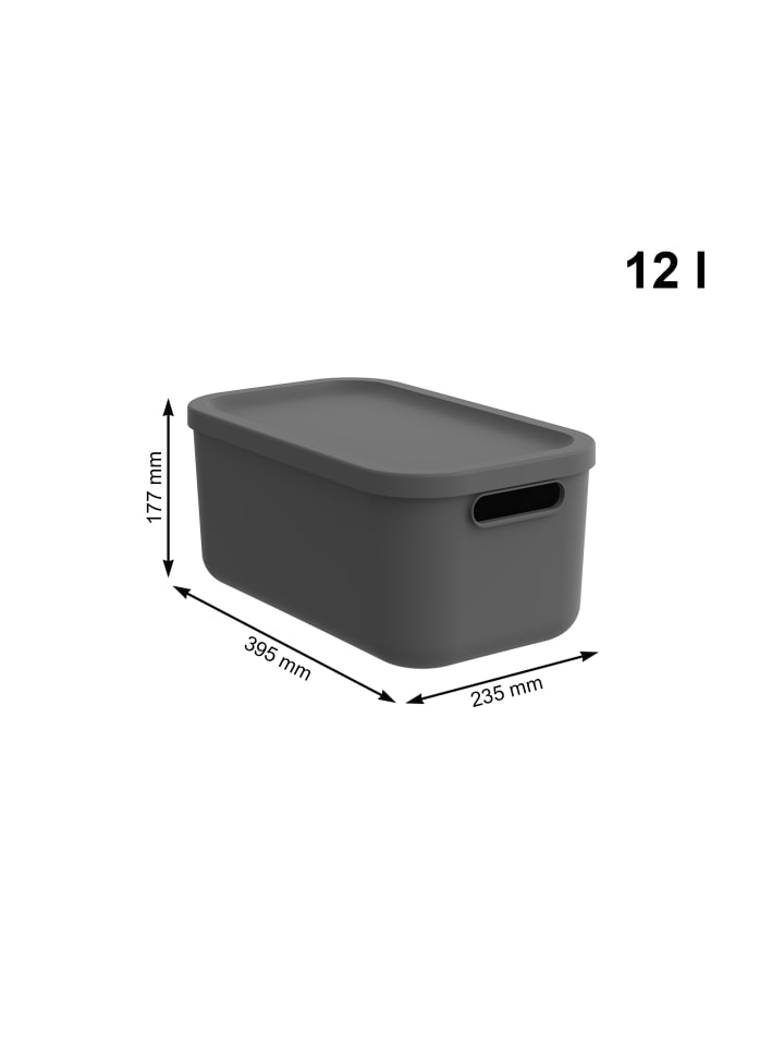 Rotho Albula Light Kiste 12l mit Deckel in Anthrazit günstig kaufen onesize