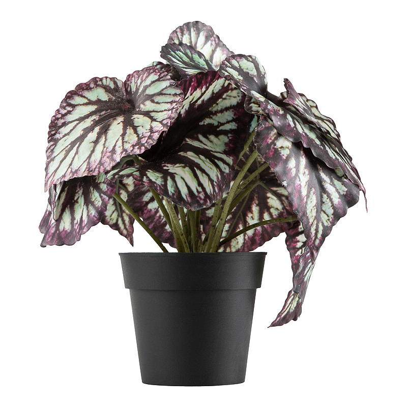 Blossom Kongebegonia 20 cm kunstig
