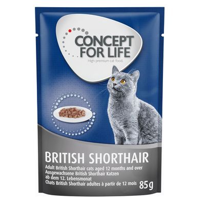 Concept for Life British Shorthair Adult (Ragout-Qualität)