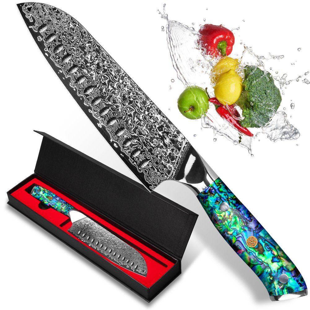 KEENZO Damastmesser Santoku-Messer aus 67 Lagen VG10 Damaststahl Abalone-Muschel Griff
