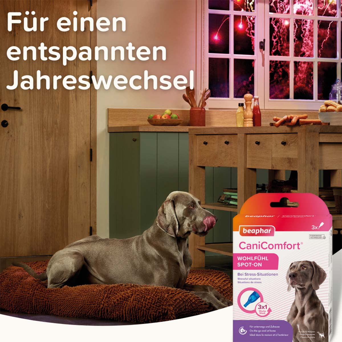 beaphar CaniComfort Wohlfühl Spot On 3x1ml kaufen bei ZooRoyal