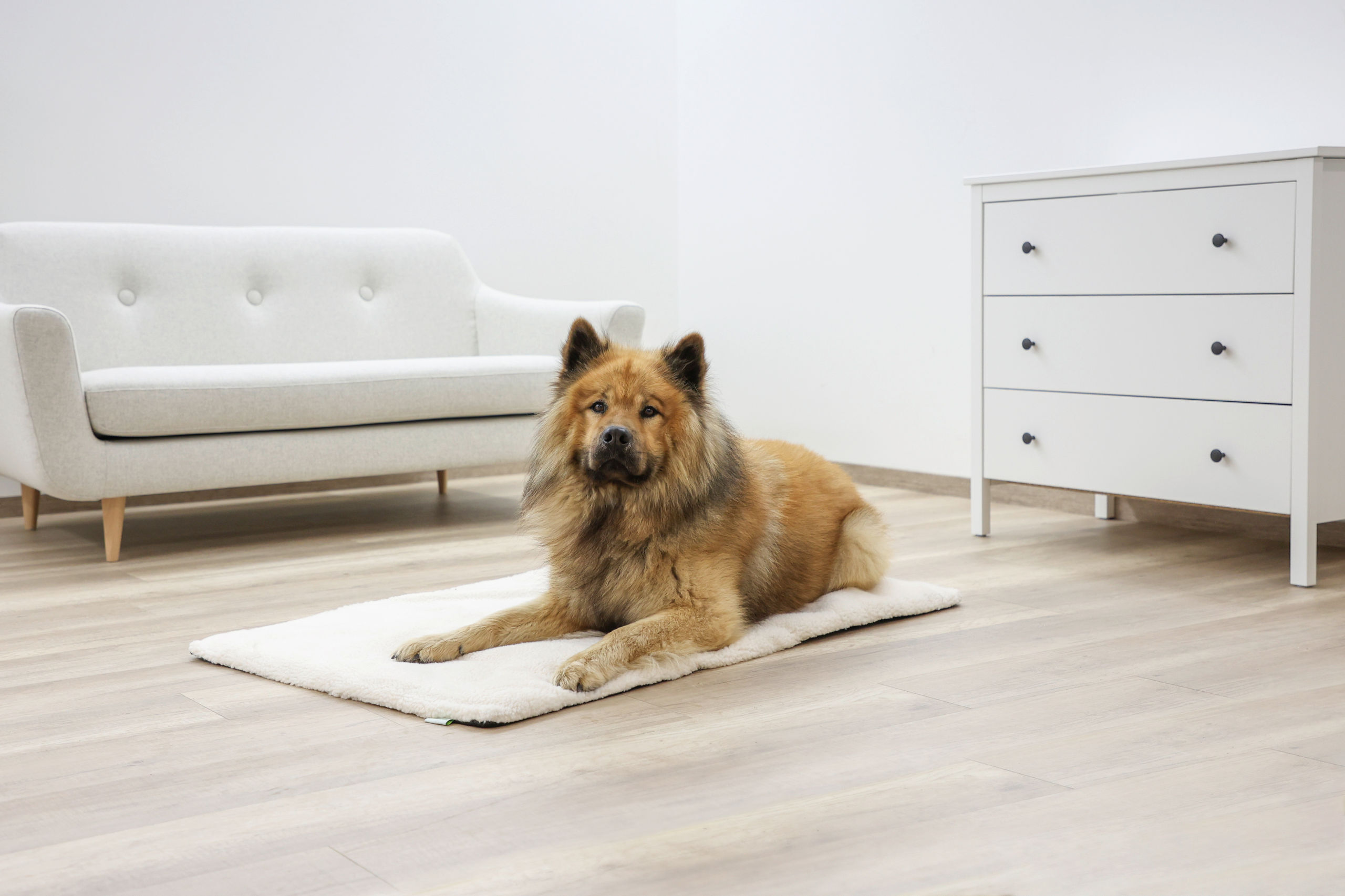 Kerbl Hundekissen Kerbl Pet Liegekissen Theo, Beige, 75x50x3cm L