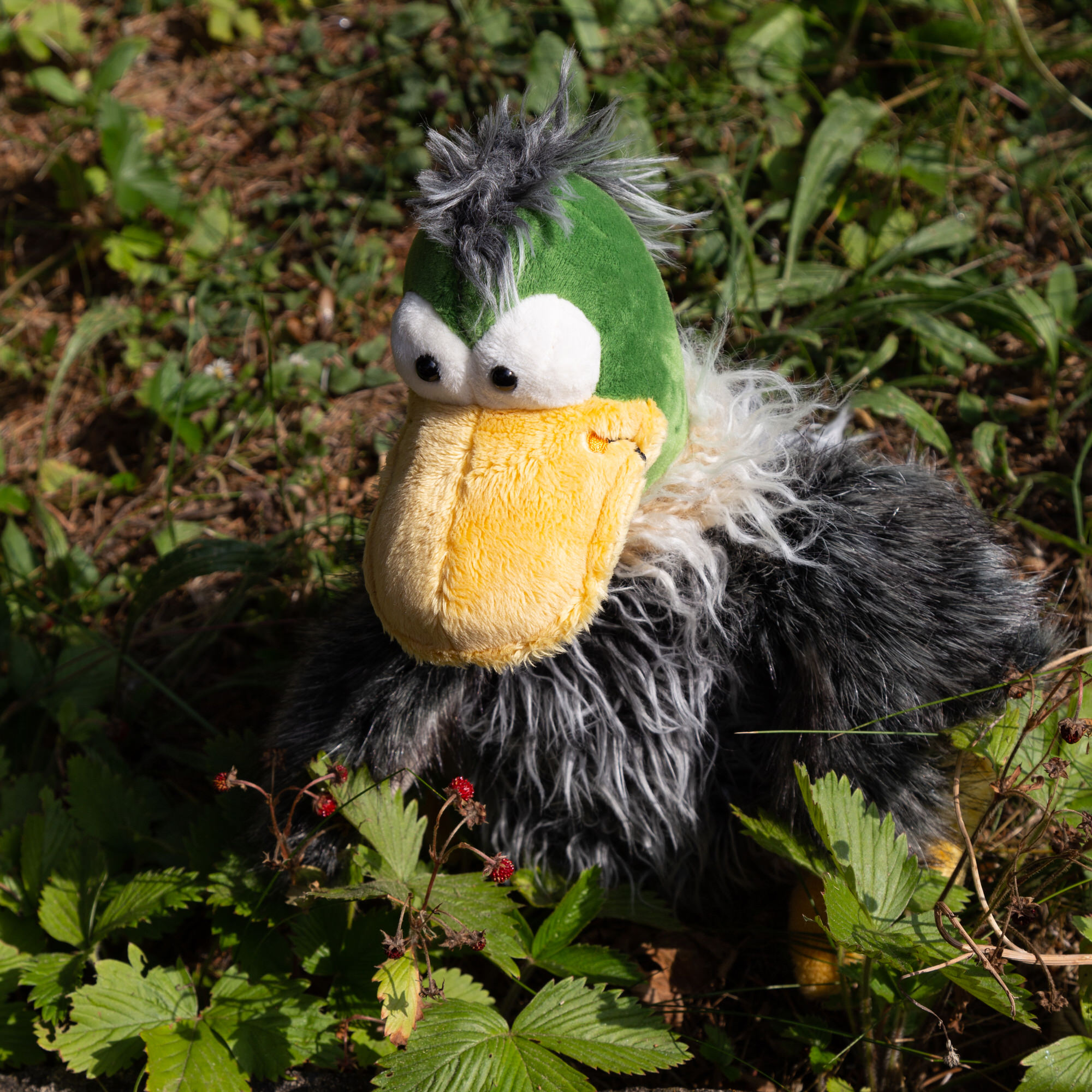Kuschelente Gacko Gack, Kikeriki