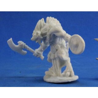 Gnoll Warrior