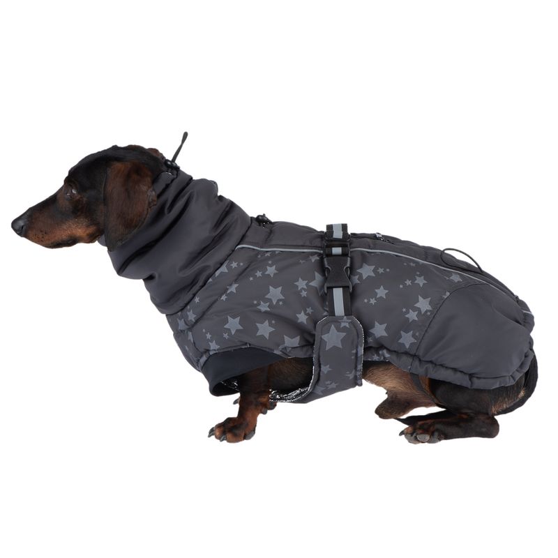 Hundemantel Reflecting Stars zu TOP-Preisen