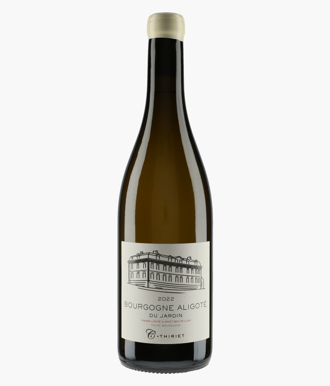 Aligoté du Jardin 2022DOMAINE CAMILLE THIRIET
