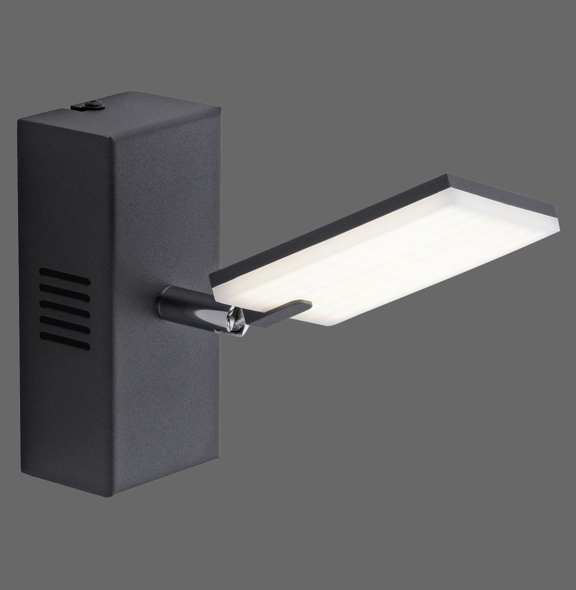 Paul Neuhaus LED Spot Pure-Mira 1-flg schwarz