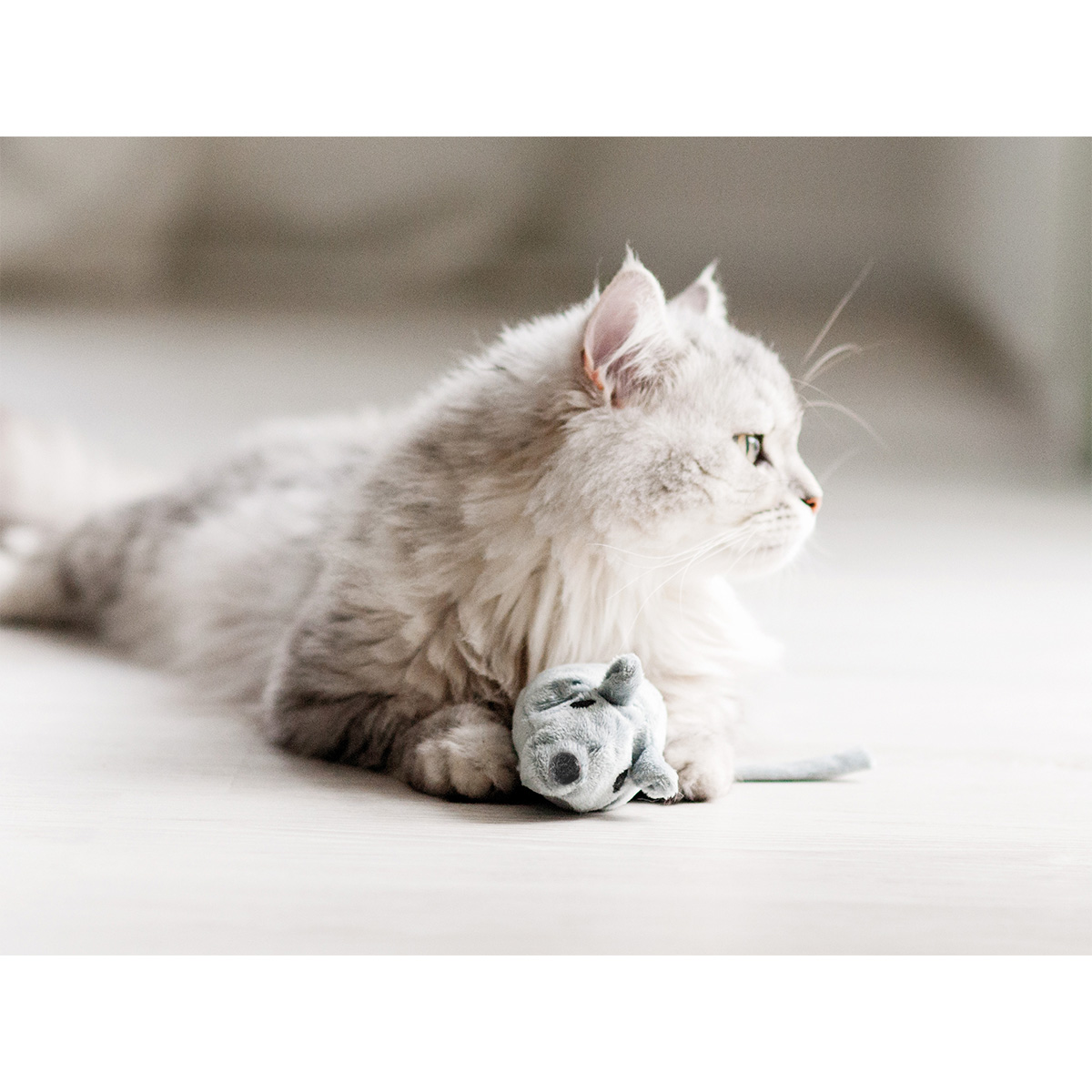 Aumüller Katzenspielkissen Baldi Maus günstig kaufen