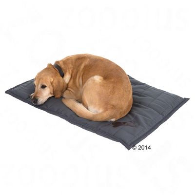 Liegedecke Freedom Bone