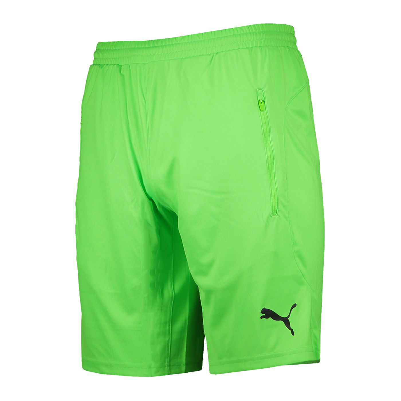 PUMA Schiedsrichter Short Grün F02
