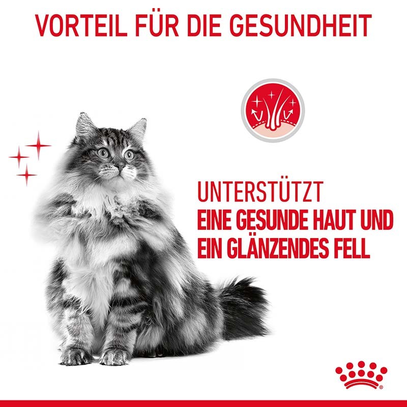 ROYAL CANIN Nassfutter ROYAL CANIN Hair & Skin 12x85g in Gelee