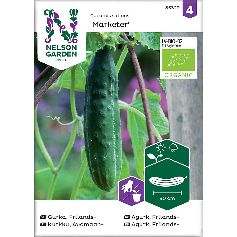 Nelson garden Frø Agurk Frilands-, Marketer, organic