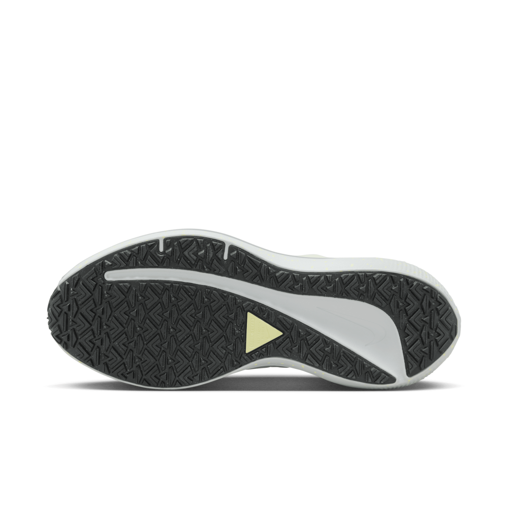 Nike Air Winflo 9 Shield DM1104-100 / braun
