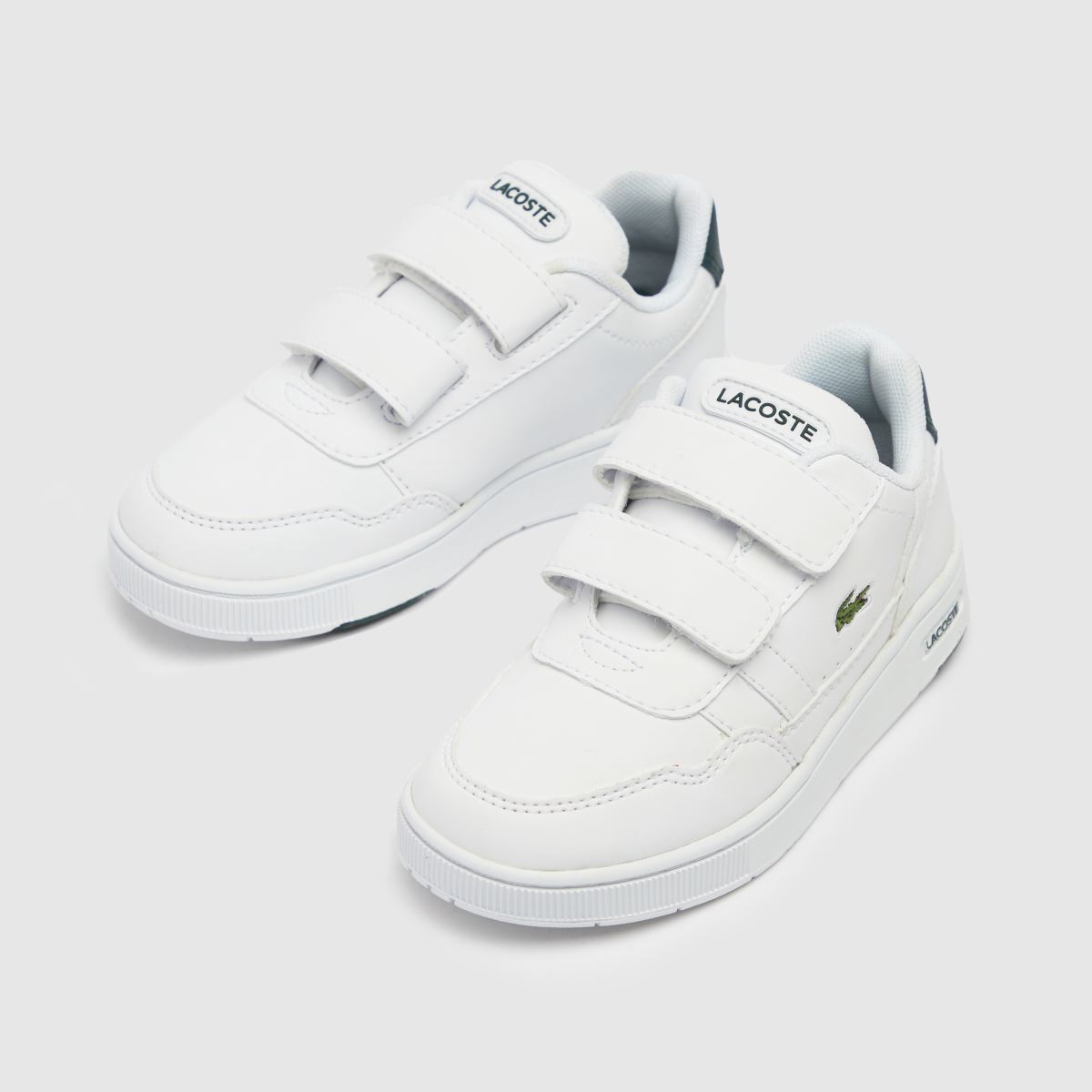 Lacoste vita och gröna t-clips för pojkar, småbarnsskor