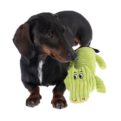 TIAKI Hundespielzeug Jack Squeaker