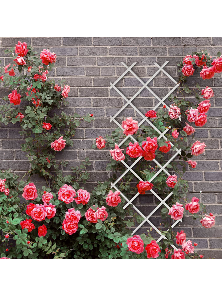 relaxdays 3 x Rankgitter in Braun - (B)60 x (H)180 cm günstig kaufen onesize