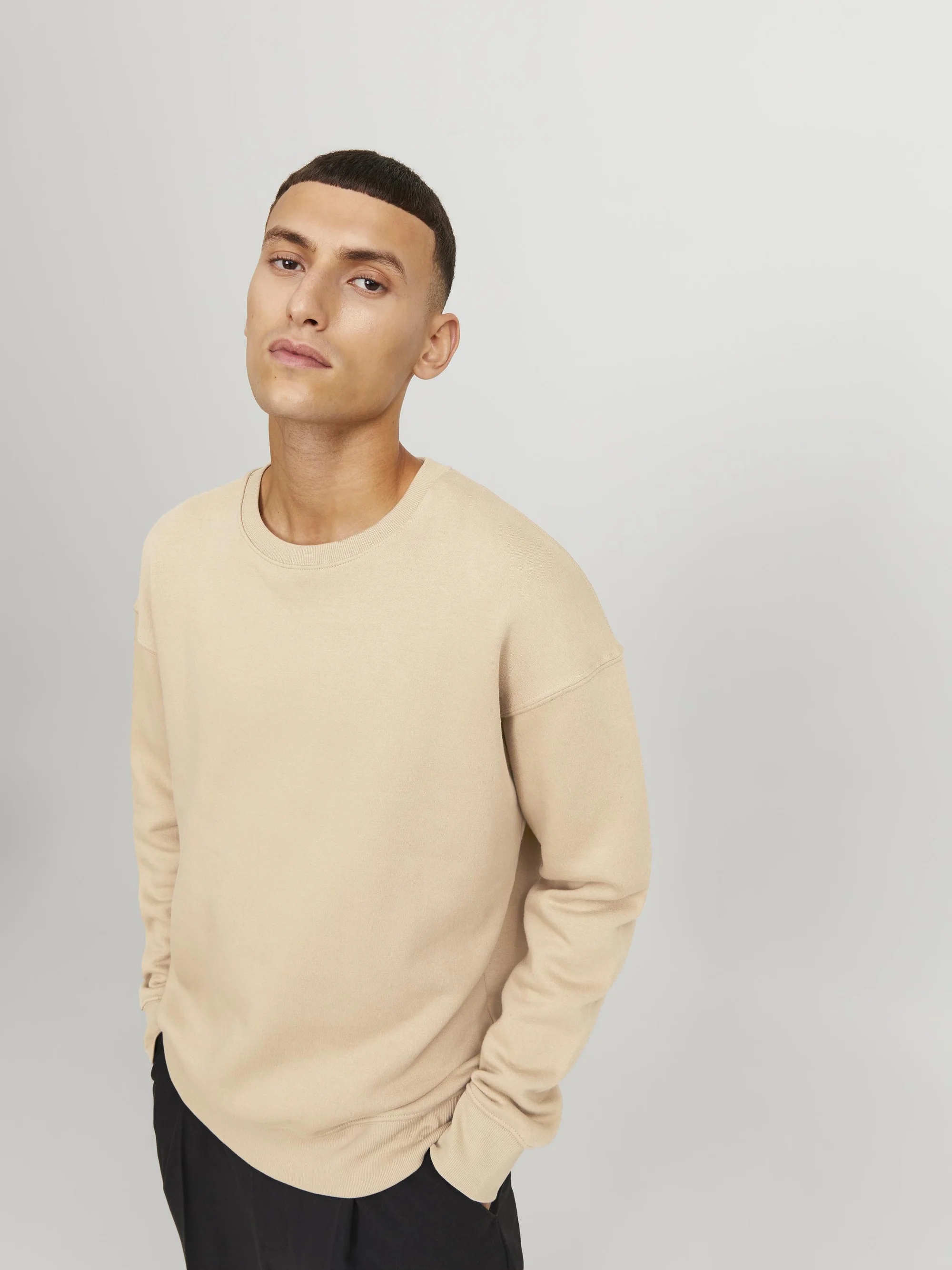 Jack & Jones JJESTAR BASIC CREW NECK - Sudadera
