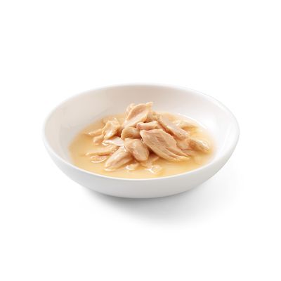 Sparpaket Schesir Natural mit Reis 24 x 85 g