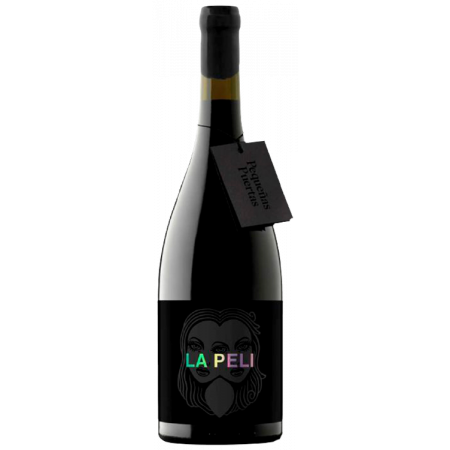 PEQUEÑAS PUERTAS LA PELI 2019 - VIÑA ZORZAL