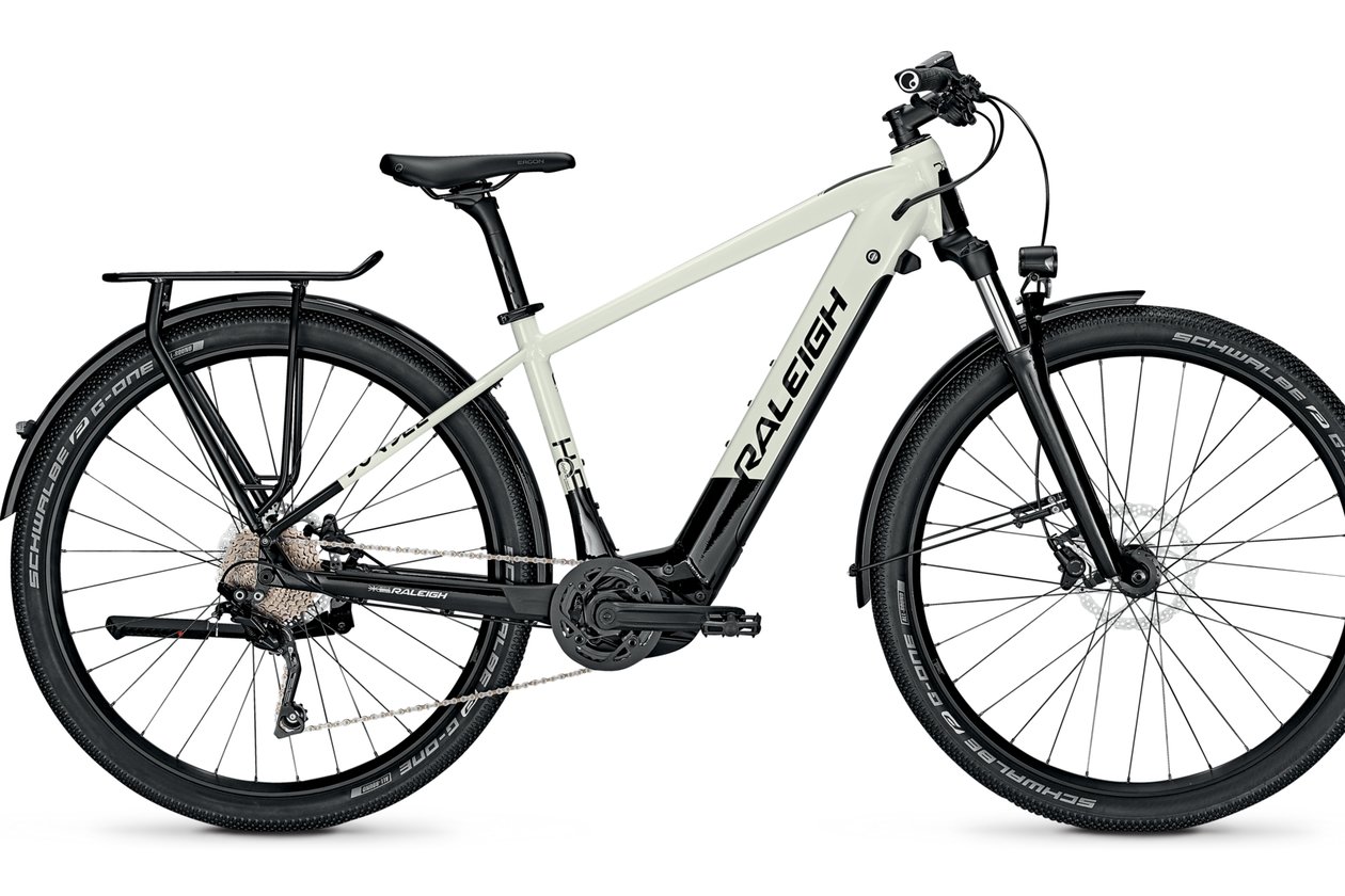 Raleigh Dundee 10 - 500 Wh - 2021 - 29 Zoll - Diamant