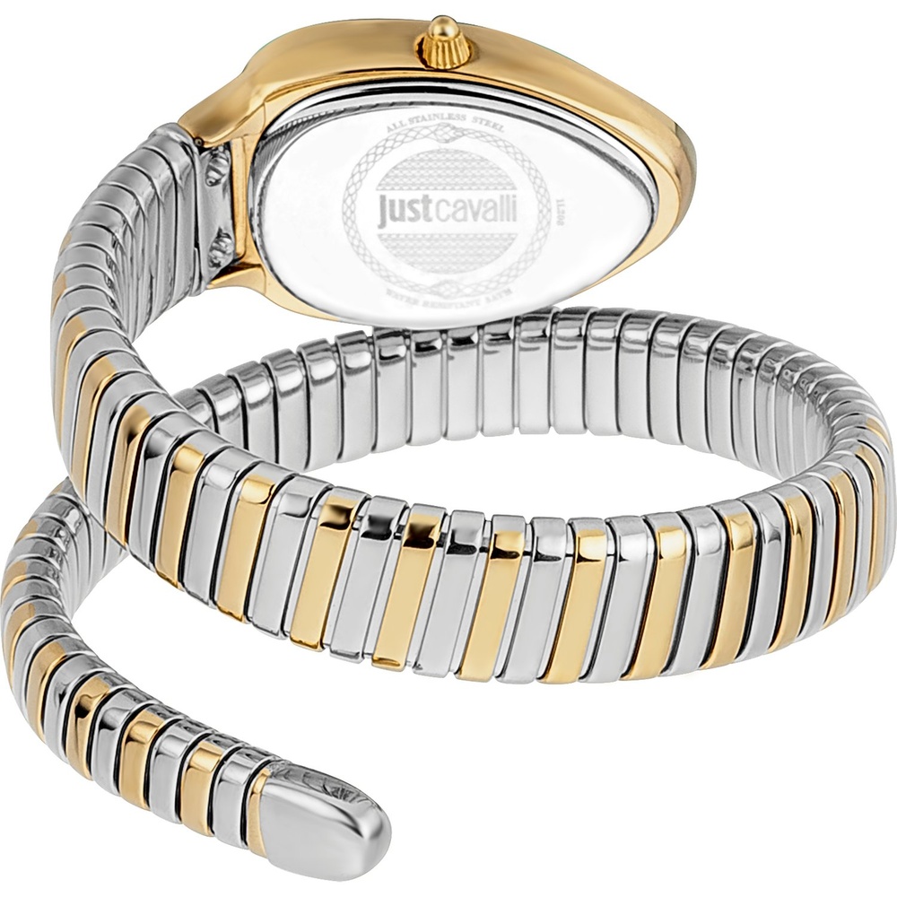 Just Cavalli Montre pour femme Acier inoxydable Montre