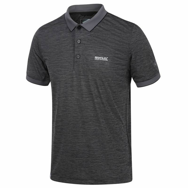Regatta Remex II Poloshirt Herren