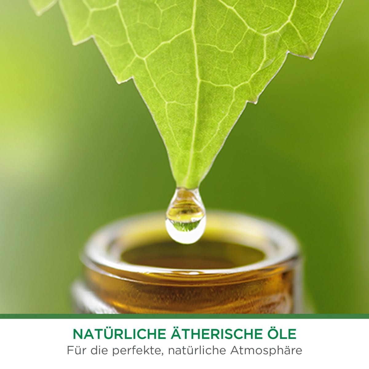Lufterfrischer Freshmatic Cotton & Weißer Flieder Nachfüllpack, 250 ml