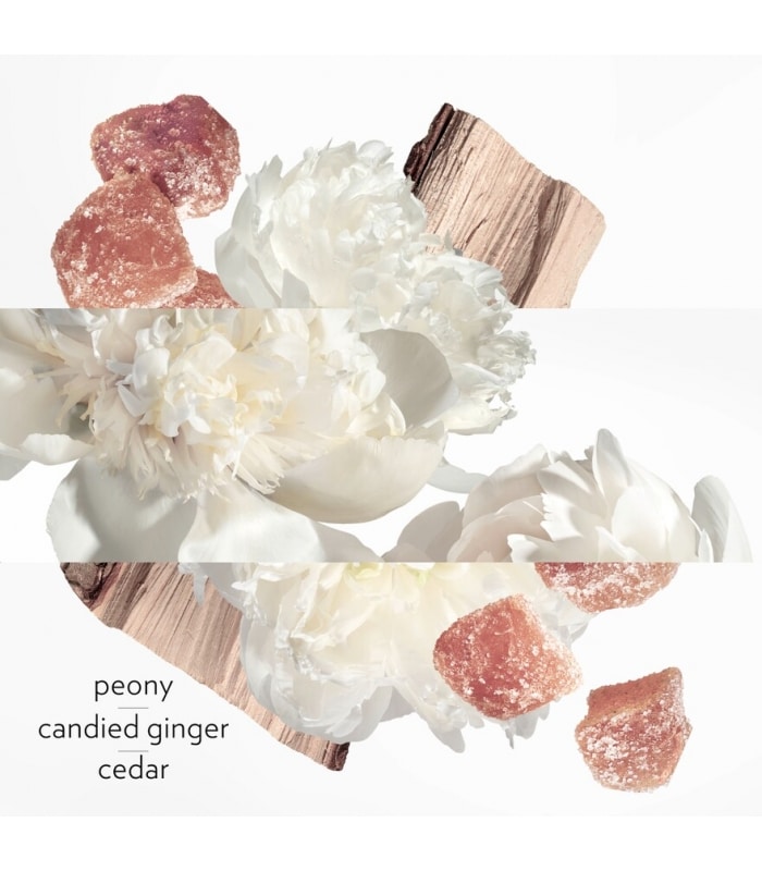 HERMÈS-TWILLY EAU GINGER- Eau de Parfum