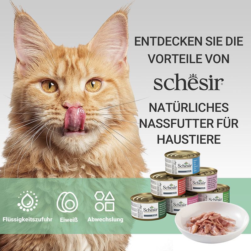 Probierpaket Schesir Dose zu TOP-Preisen