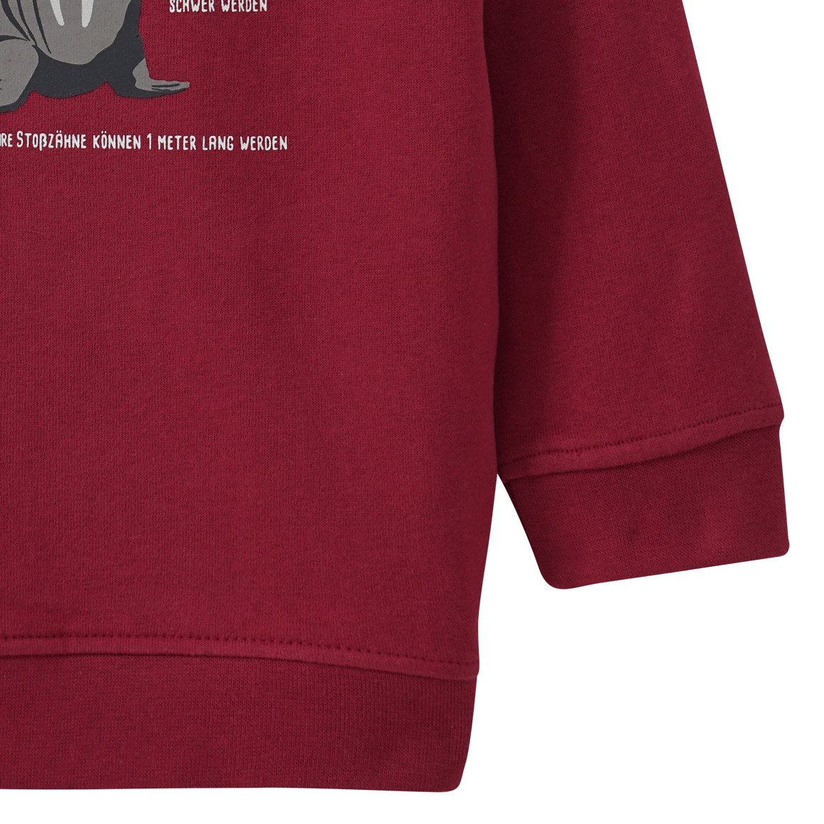 Kinder Sweatshirt mit Walross-Motiv