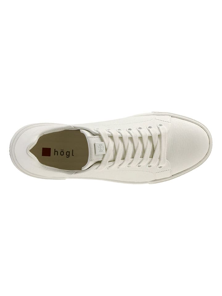Högl Leder-Sneakers 
