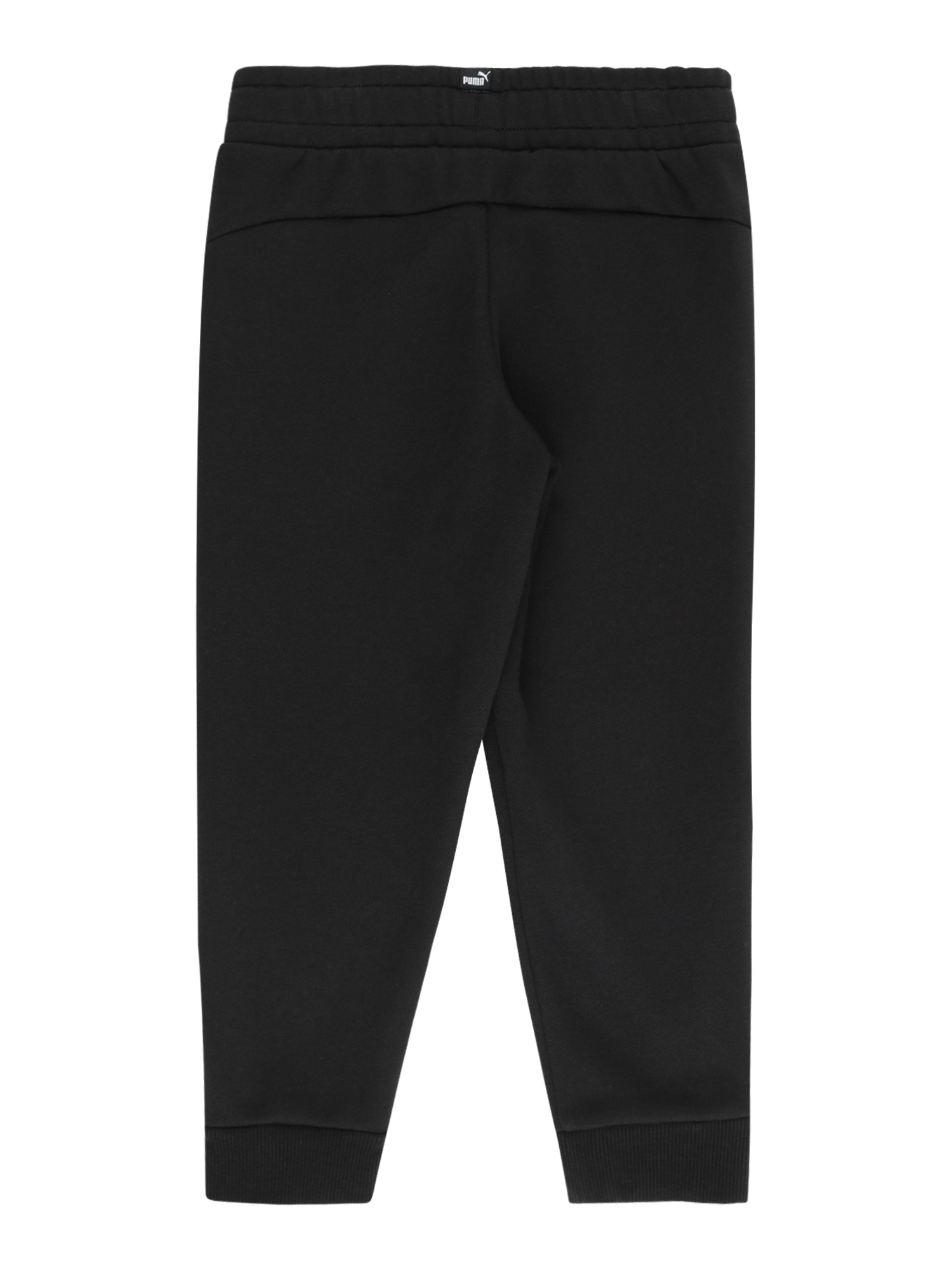 Tapered Pants