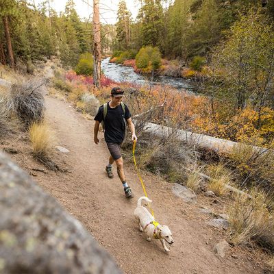 RUFFWEAR Hi & Light Leine